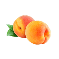 Abrikoos jam voor hotel ontbijtbuffet