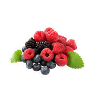 Bosvruchten jam voor hotel ontbijtbuffet