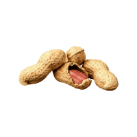 Pindakaas spread voor hotel ontbijtbuffet